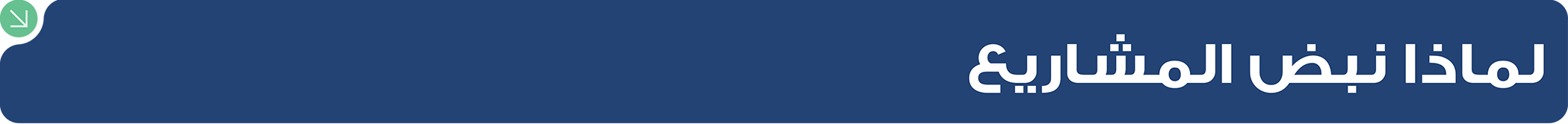 لماذا نبض المشاريع